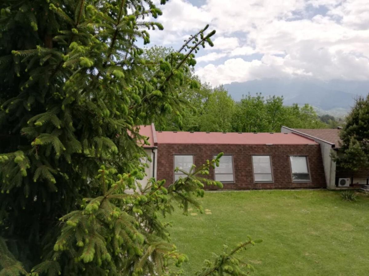 Pensiunea Muntele Rece Bran  Exterior photo